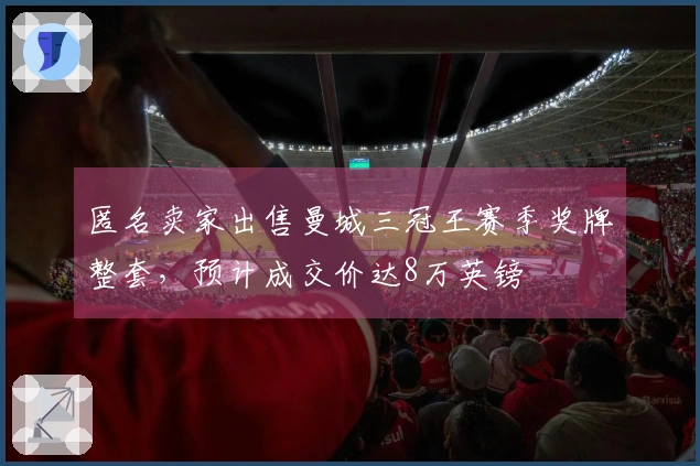 匿名卖家出售曼城三冠王赛季奖牌整套，预计成交价达8万英镑