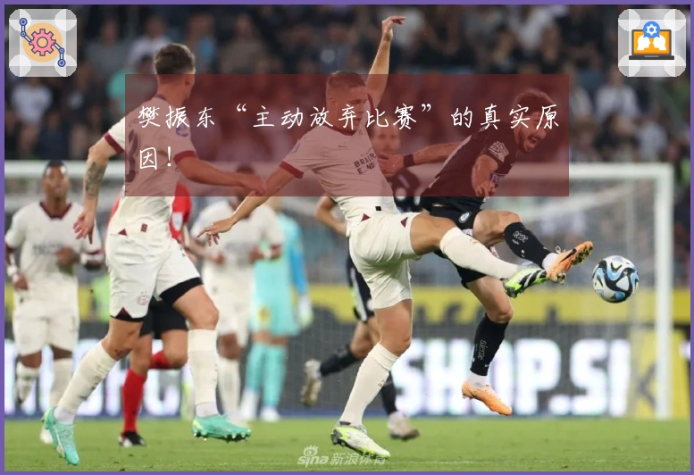 樊振东“主动放弃比赛”的真实原因！