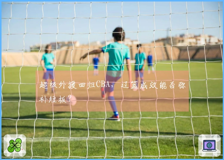 超级外援回归CBA，辽篮成效能否弥补短板？