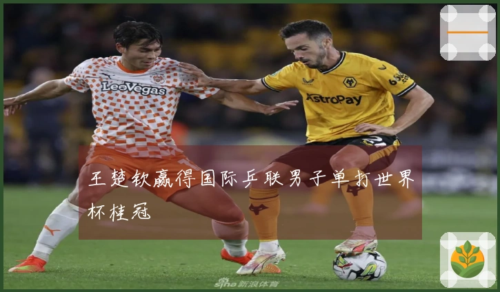 王楚钦赢得国际乒联男子单打世界杯桂冠